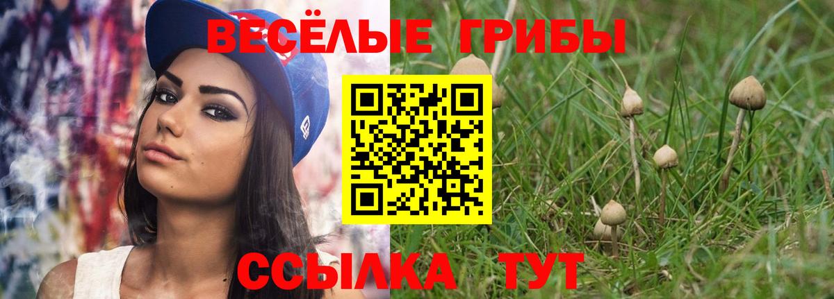 Галлюциногенные грибы прущие грибы Ишим